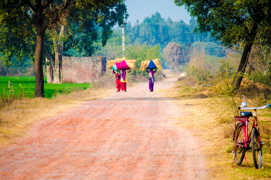 Two women in bright clothes walk down a red-earth village lane carrying loads on their heads, between green fields and trees, with a bicycle leaning at the roadside.